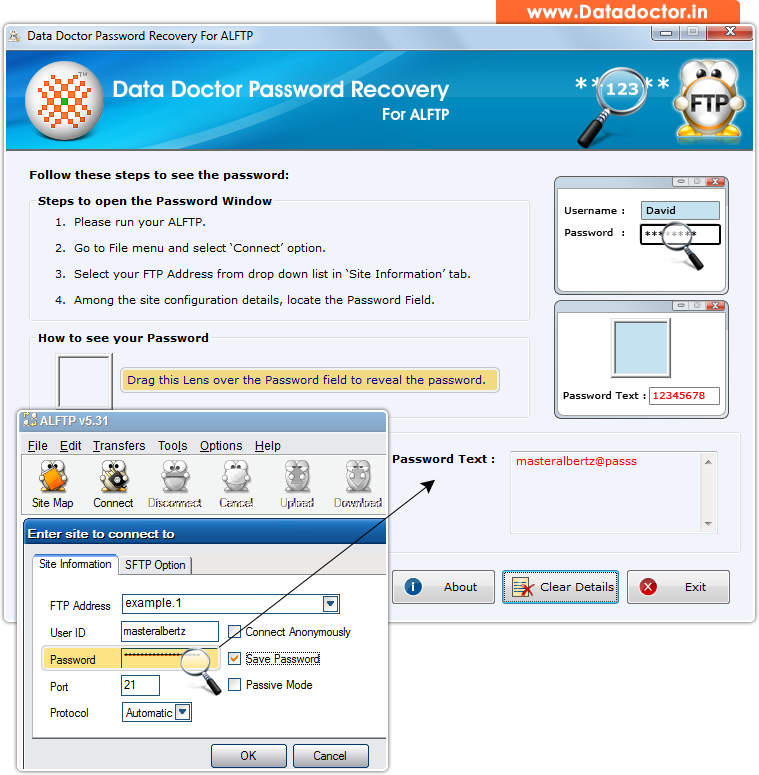 Password Recovery Software For ALFTP