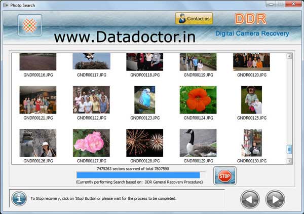 Screenshot of Digital Camera Data Recovery Software