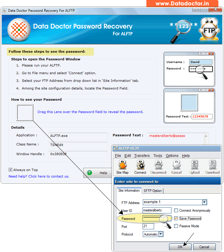 Password Recovery Software For ALFTP