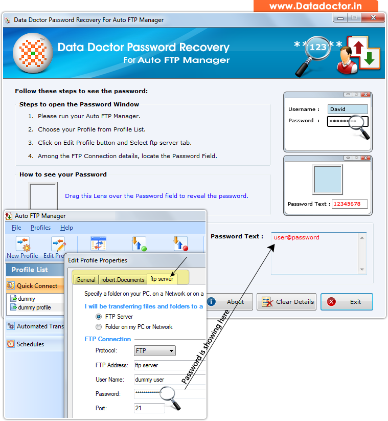 Password Recovery Software For Auto FTP