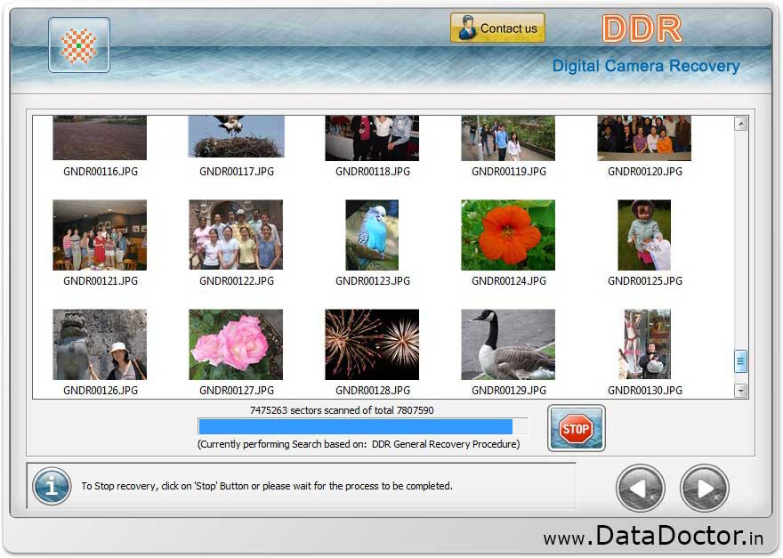 software arsip digital camera