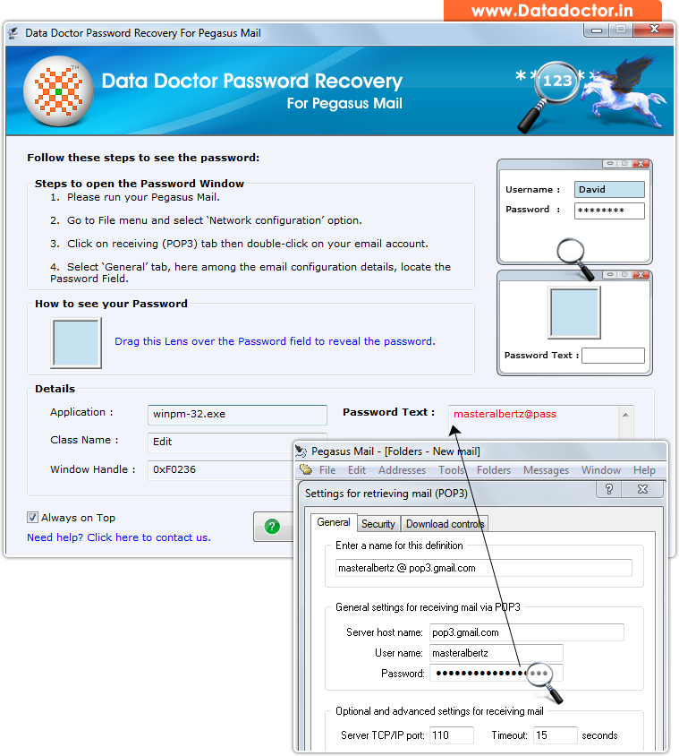 Password Recovery Software For Pegasus Mail